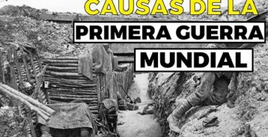 La Primera Guerra Mundial: Descubre todo en Brainly