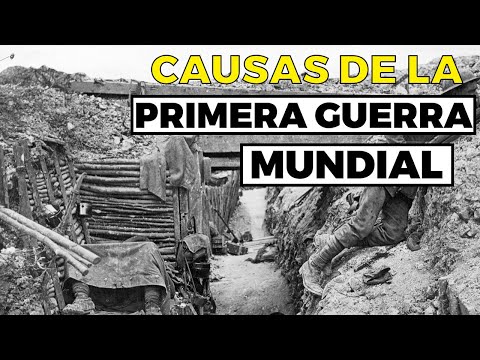 La Primera Guerra Mundial: Descubre todo en Brainly